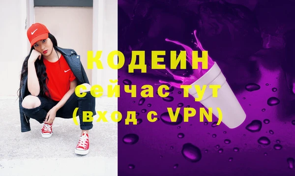 мет Корсаков
