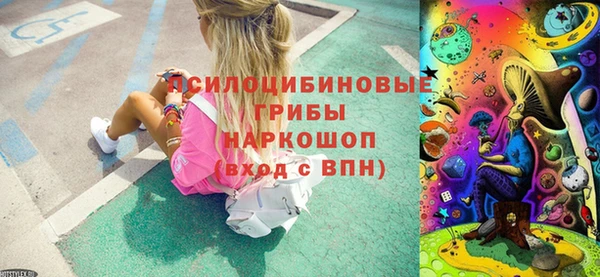 ПСИЛОЦИБИНОВЫЕ ГРИБЫ Костерёво