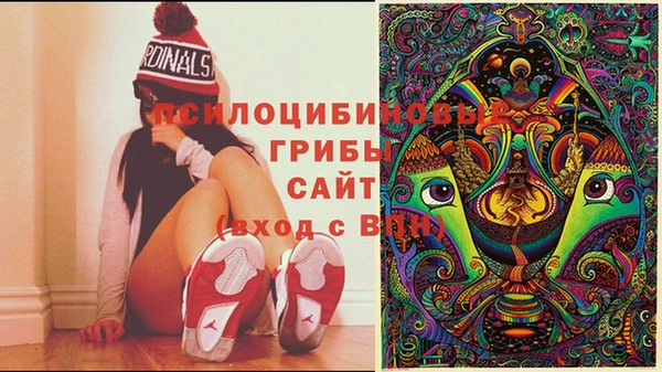 ПСИЛОЦИБИНОВЫЕ ГРИБЫ Костерёво