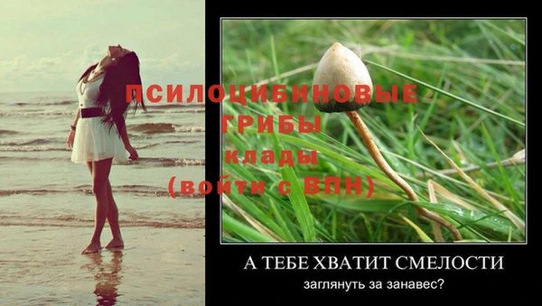 мет Корсаков
