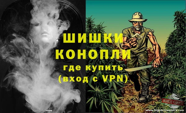 ПСИЛОЦИБИНОВЫЕ ГРИБЫ Костерёво
