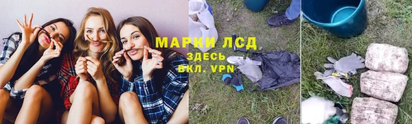 ПСИЛОЦИБИНОВЫЕ ГРИБЫ Костерёво