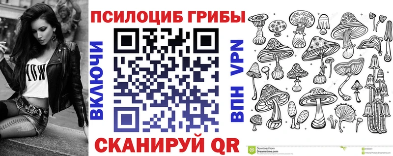 Псилоцибиновые грибы мицелий  Обнинск 